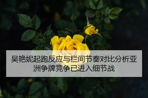 wu-yan-ni-qi-pao-fan-ying-yu-lan-jian-jie-zou-dui-bi-fen-xi-ya-zhou-zheng-pai-jing-zheng-yi-jin-ru-xi-jie-zhan-2-348.jpg